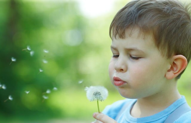 Trastornos Espectro Autista TEA